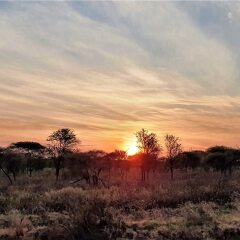 Africa Safari Serengeti Ikoma in Serengeti National Park, Tanzania from 230$, photos, reviews - zenhotels.com photo 35