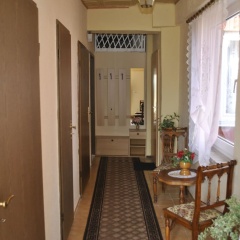 Pension Haus Mückenheim - Bild 14