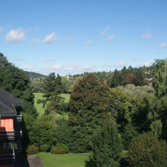 Allee Hotel Leidinger - Bild 9