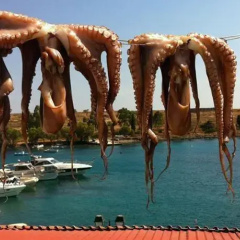 Guesthouse Čolpa thumbnail 5