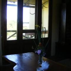 Hale Lau thumbnail 3