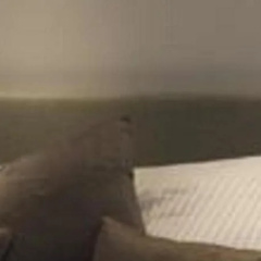 The Rooms thumbnail 2