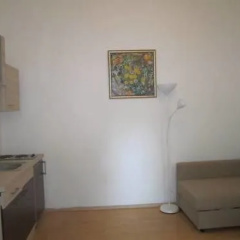 Mariahilfer Apartments thumbnail 2