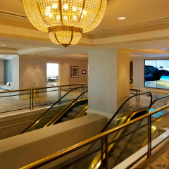 JW Marriott Miami - Bild 2