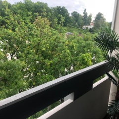 Wanderlust Apartment Baden-Baden - Bild 10