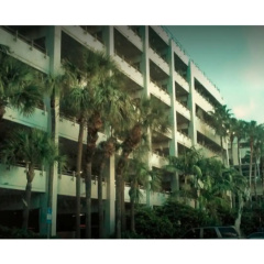 Miami International Airport Hotel - Bild 14