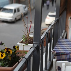 Rooster Hostel - Bild 10