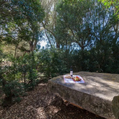 Son Julia - Villa With Private Pool In Porreres - Bild 16
