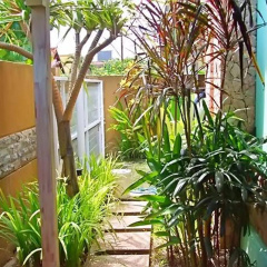 Casa Nuri - Bild 13