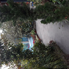 The Shire Kalimpong thumbnail 12