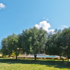 Finca Santa María - Bild 15