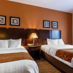 Comfort Suites Murfreesboro in Murfreesboro, United States of America from 148$, photos, reviews - zenhotels.com photo 6