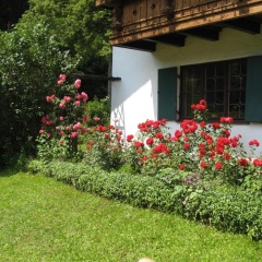 Haus Alpenrose - Bild 8