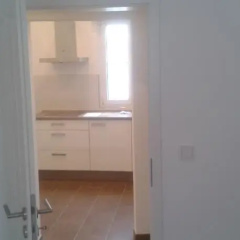 Greifen - Bild 1