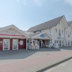 Roter Seestern - Bild 1