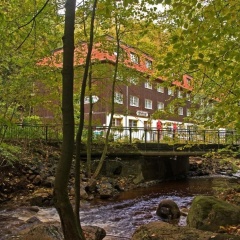 Waldhotel Am Ilsestein - Bild 15