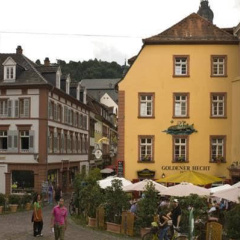 Goldener Hecht - Bild 13