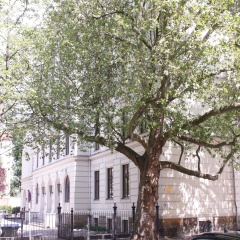 Silentio Schletterstrasse - Bild 1