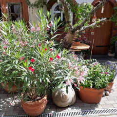 Apartment Zeitreise - Bild 14