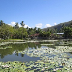The Forty Eight Resort Candidasa - Bild 11