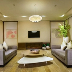 Joya Wuhan Optics Valley thumbnail 6