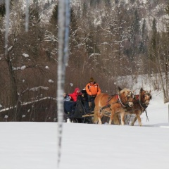 Alpenhotel Garni Weiherbach - Bild 8