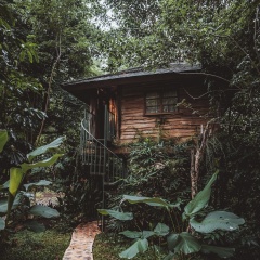 Roots Tree House - Bild 17