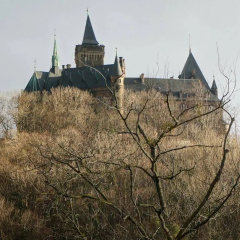 Hotel zur Post - Bild 16