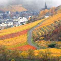 Apartment Happy Mosel - Bild 1
