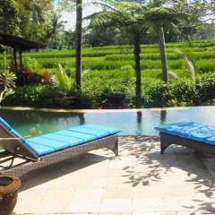 Villa Orchid Bali - Bild 5