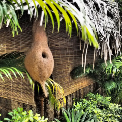The Palm Trees Resort thumbnail 5