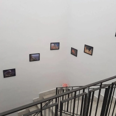 The Artists thumbnail 18