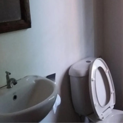 Cfun Cottages - Bild 12