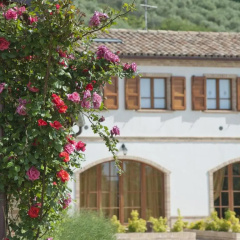 Terra del Sole thumbnail 14