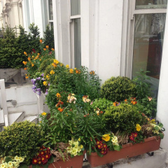 Holland Inn Hotel - Bild 14