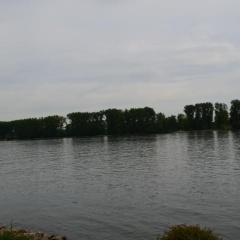Zwei Raben Pension - Bild 14