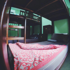 The Banana Cabins thumbnail 3