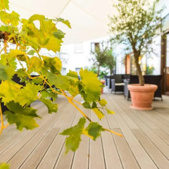 Hotel-Linde - Bild 13