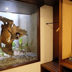 JAPA Suites and Villas - Bild 2