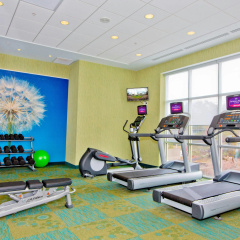 Springhill Suites by Marriott Pittsburgh Mt. Lebanon thumbnail 34