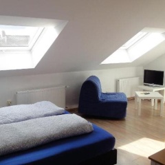 Kranich - Bild 3