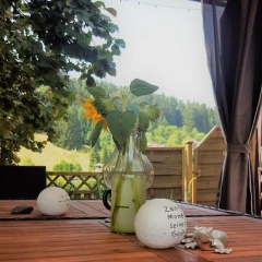 zur Schmiede - Bild 11