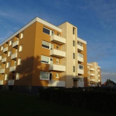 Strandperle - Bild 1