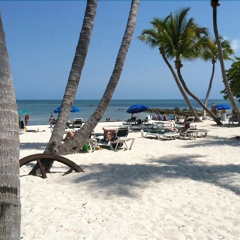 The Beach Bungalow thumbnail 12