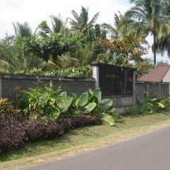 Japanese Villa - Bild 10