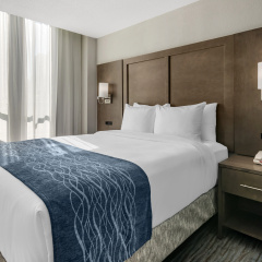 Comfort Inn & Suites Downtown Brickell-Port of Miami - Bild 3
