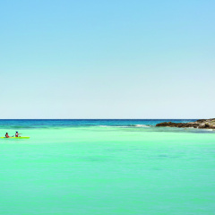 Turquoize at Hyatt Ziva Cancun - Adults Only - All Inclusive - Bild 26