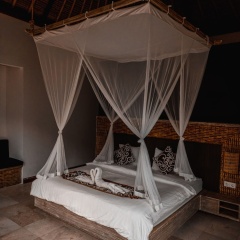 Tirta sari - Bild 3