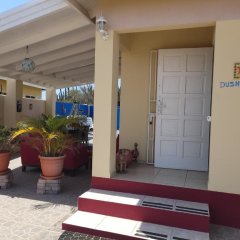 Cozy Home Under the Sun, With Swimmingpool in Paradera, Aruba from 433$, photos, reviews - zenhotels.com photo 24