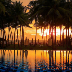 Taprobana Wadduwa by Asia Leisure thumbnail 45
